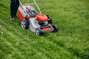 The Importance of Regular Lawn Maintenance: Insights from Lawn Care Experts